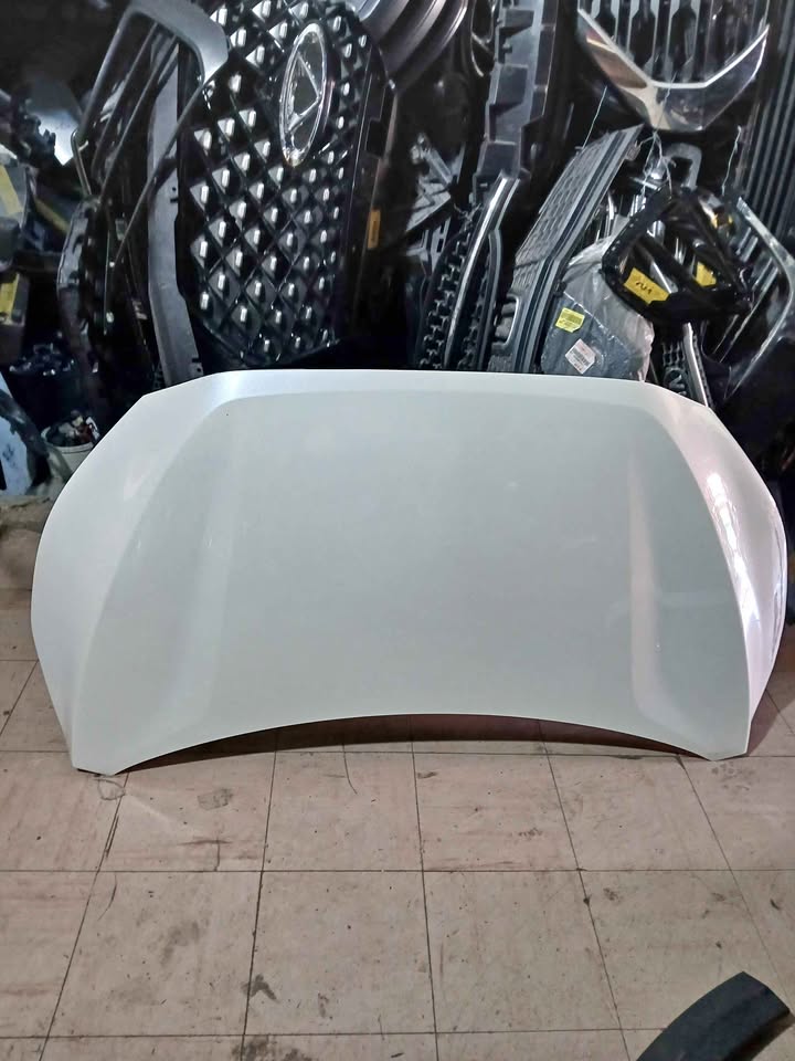 Nissan magnite bonnet - Private Seller Nissan magnite bonnet - Private Seller