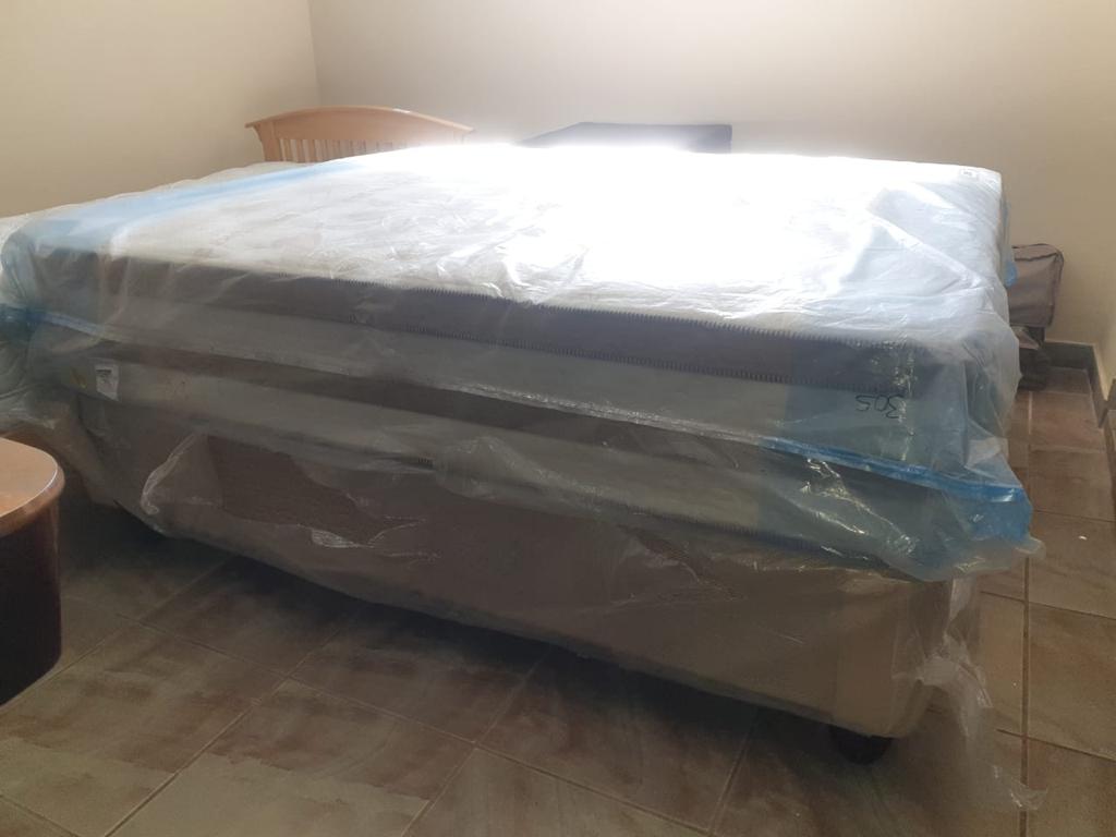 Sealy Argo Queen Base Set Junk Mail