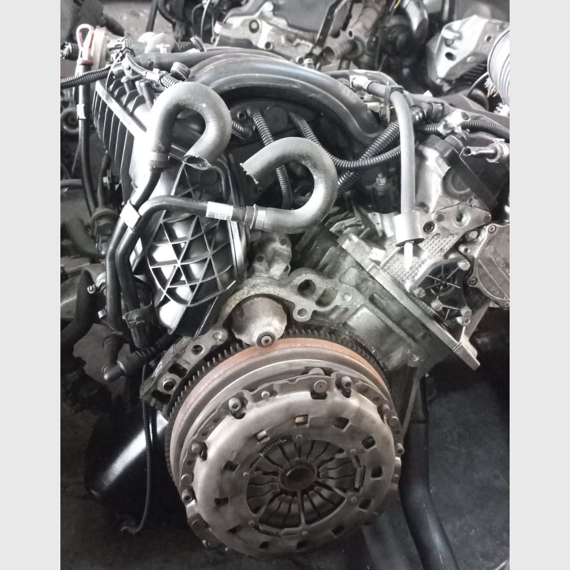 Preloaded Image 3