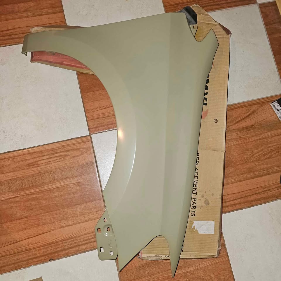 Polo Vivo 2019 fenders