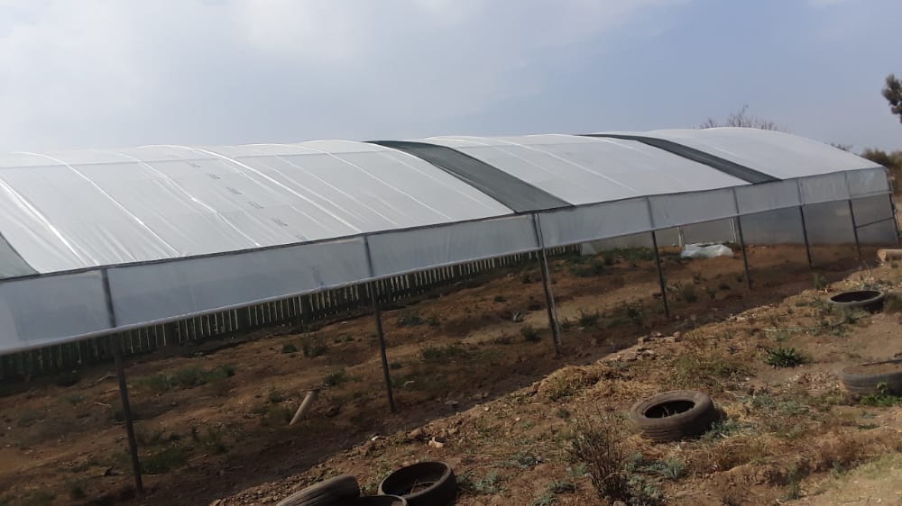 Greenhouse south africa .Tunnels for sale 