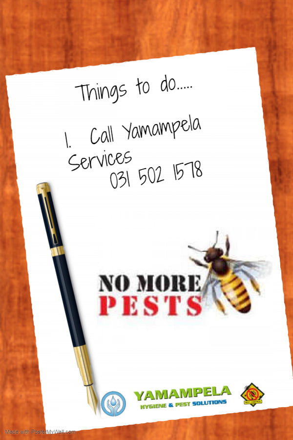 BEST PEST CONTROL SERVICE TO EXPERIENCE