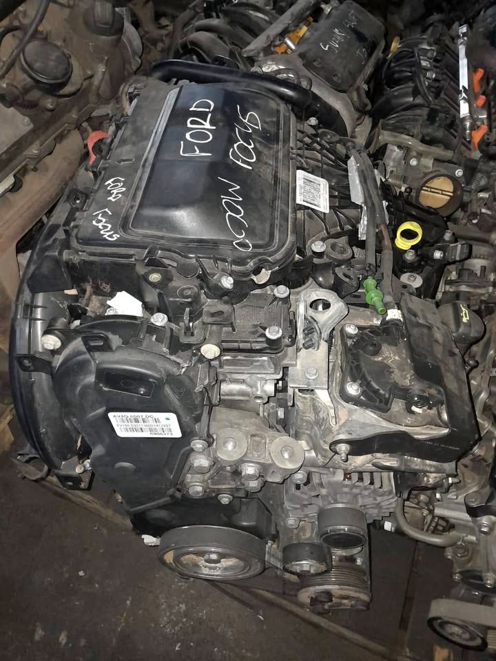 Ford Focus 2.0tdci TXDB Engine Available - Private Seller Ford Focus 2.0tdci TXDB Engine Available - Private Seller
