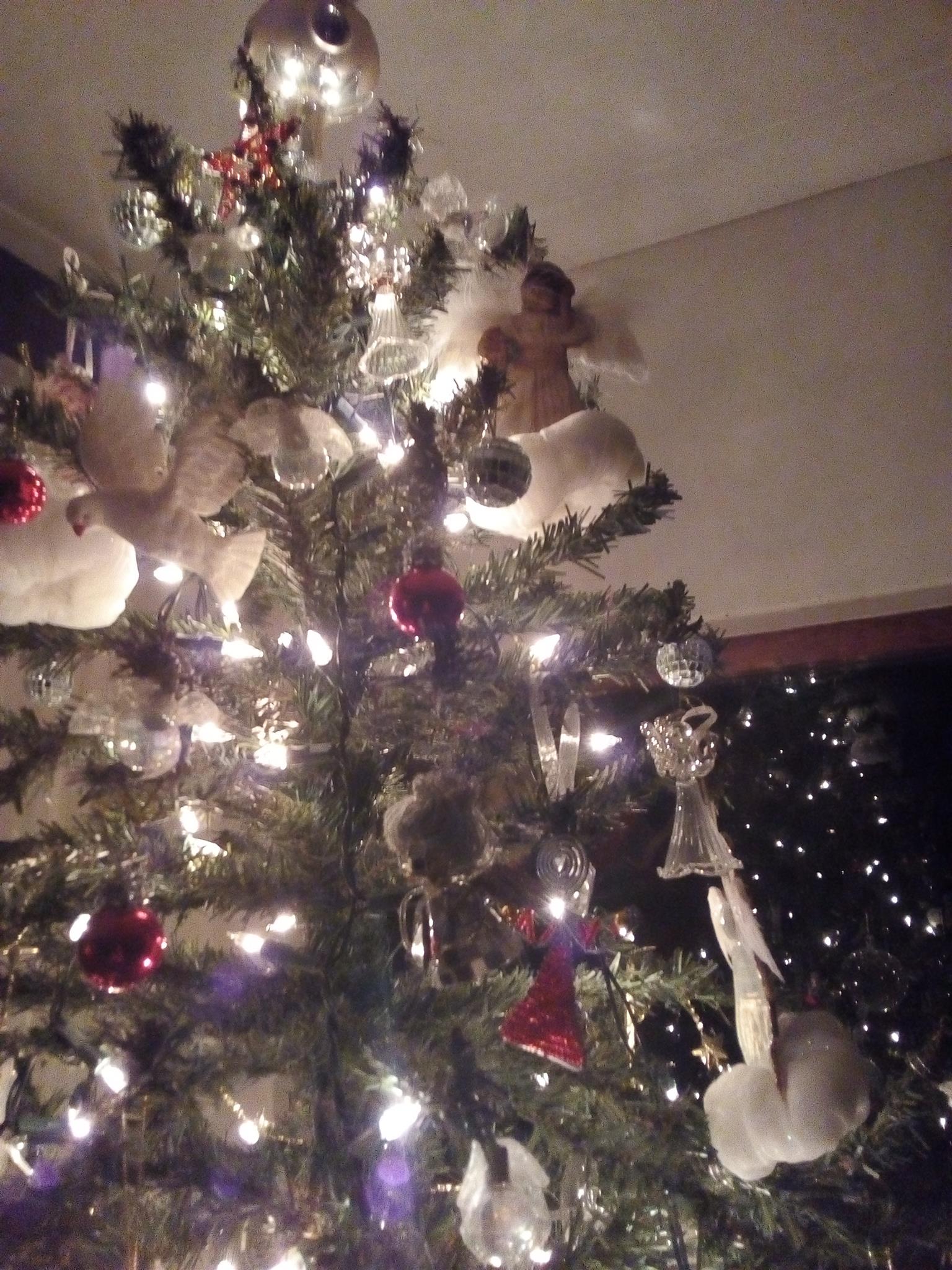 Six foot Christmas tree for sale