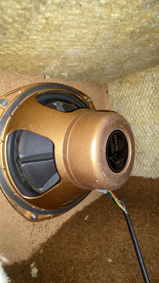 TANNOY 15” DUAL CONCENTRIC  URGENT SALE - DU 386 Limited Time offer