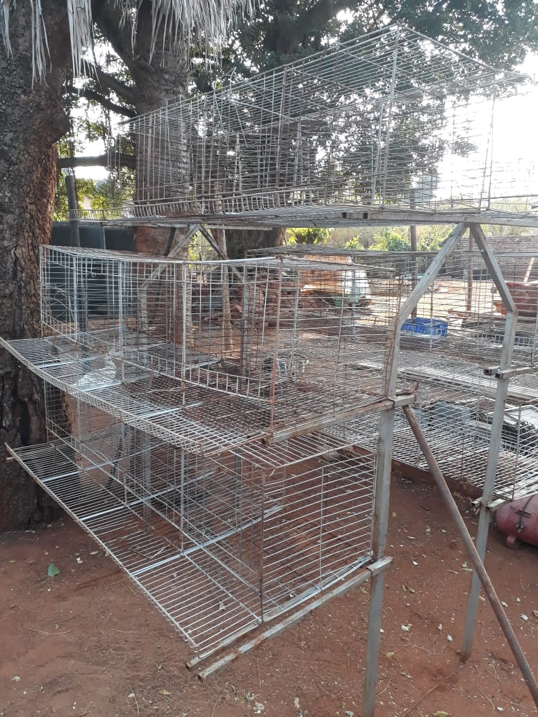 Chicken Batteries Egg Laying Cages