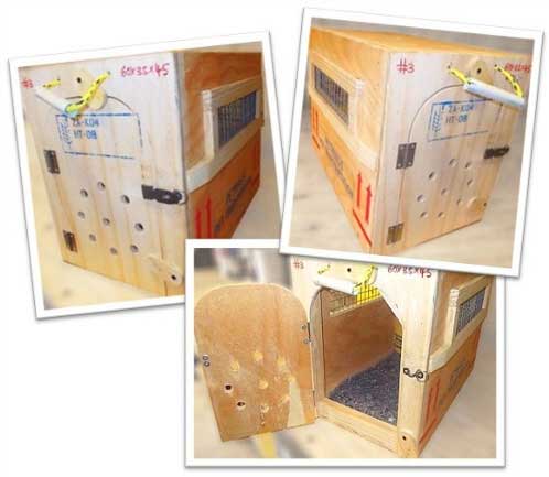 WOODEN TRAVEL BOX IATA APPROVED 