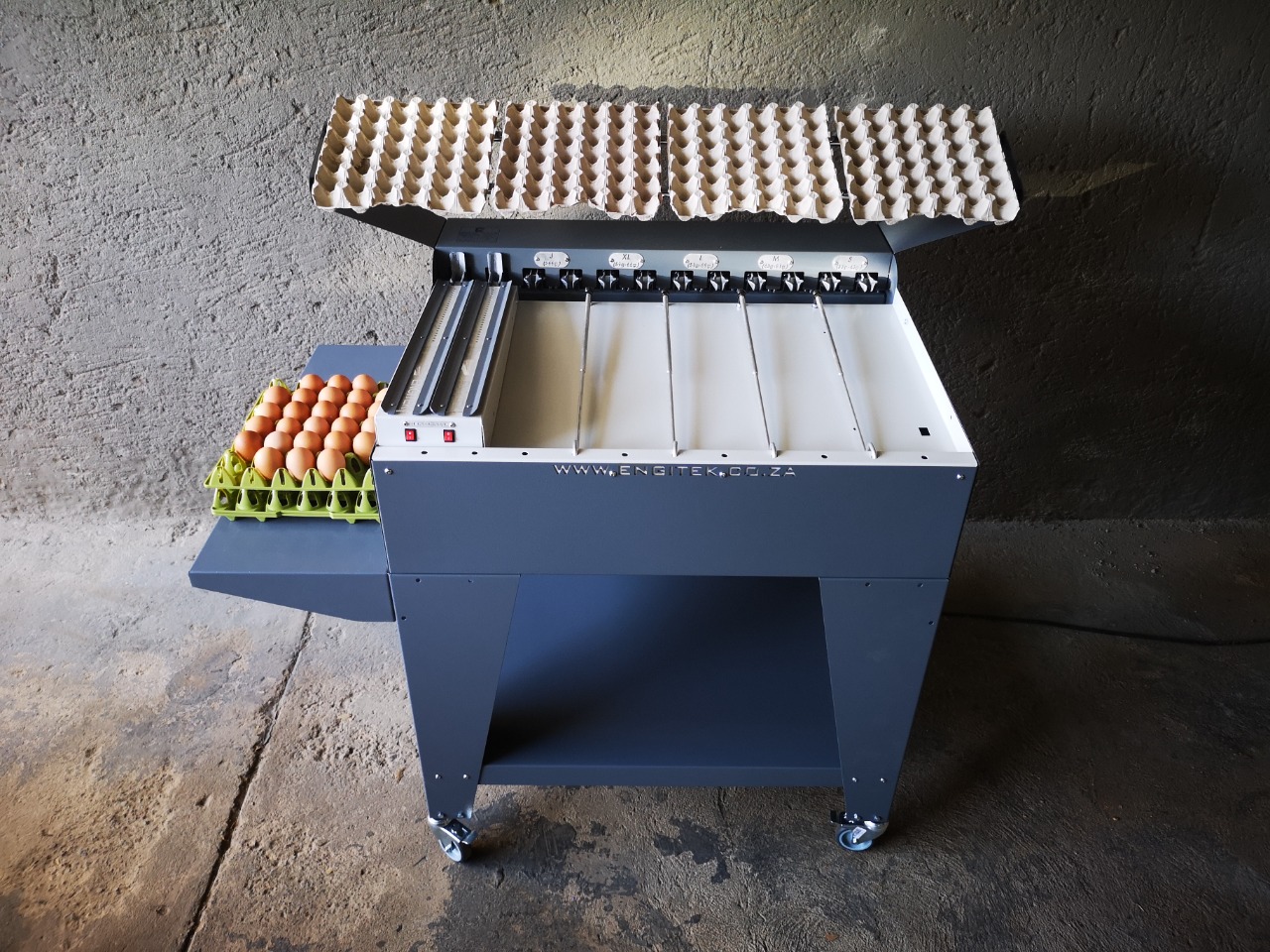 Poultry - Egg grading machine and egg washer