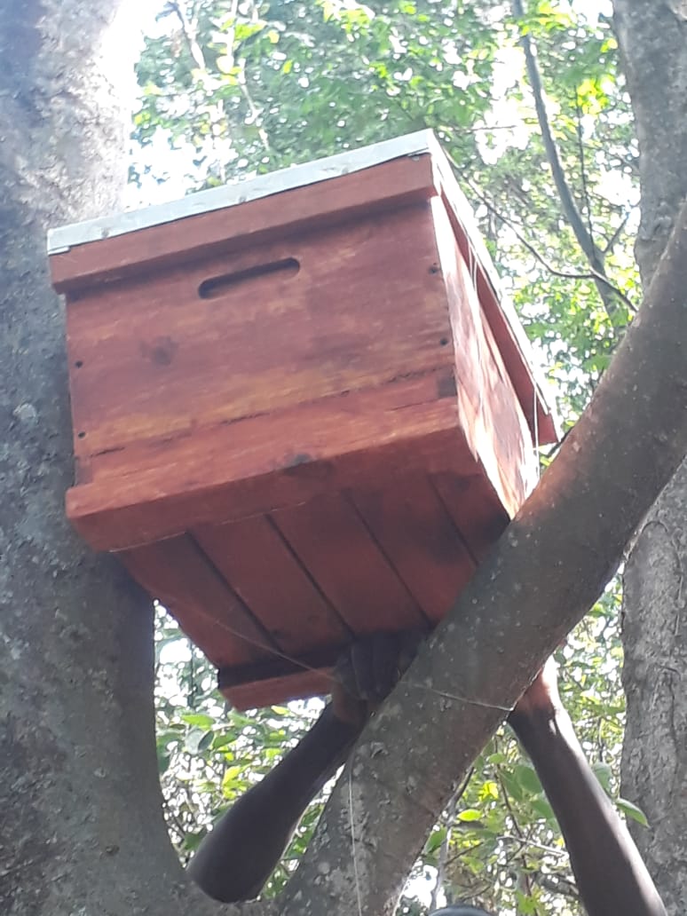 Bee Ready Langstroth Bee Hives For Sale