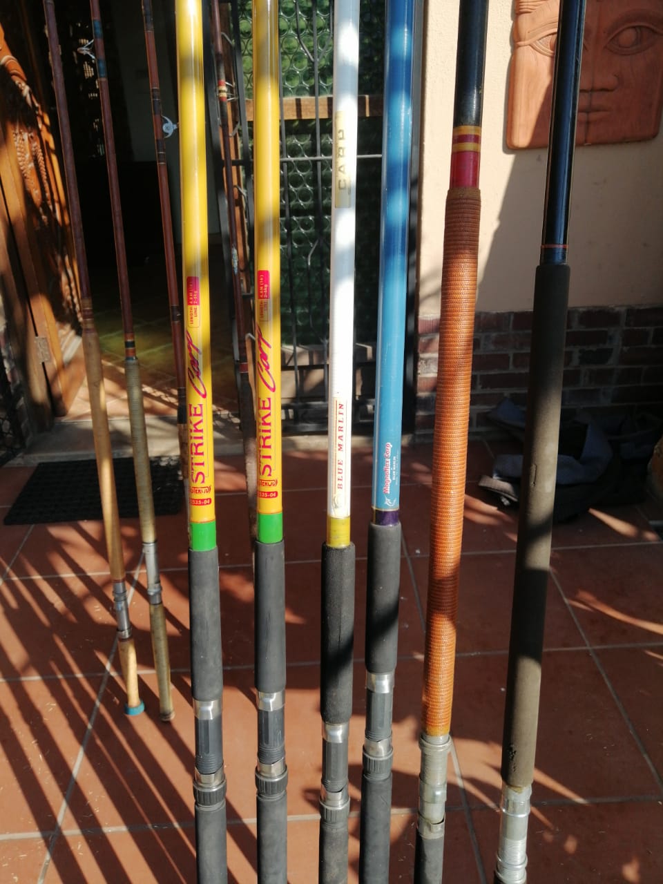 blue marlin carp rods