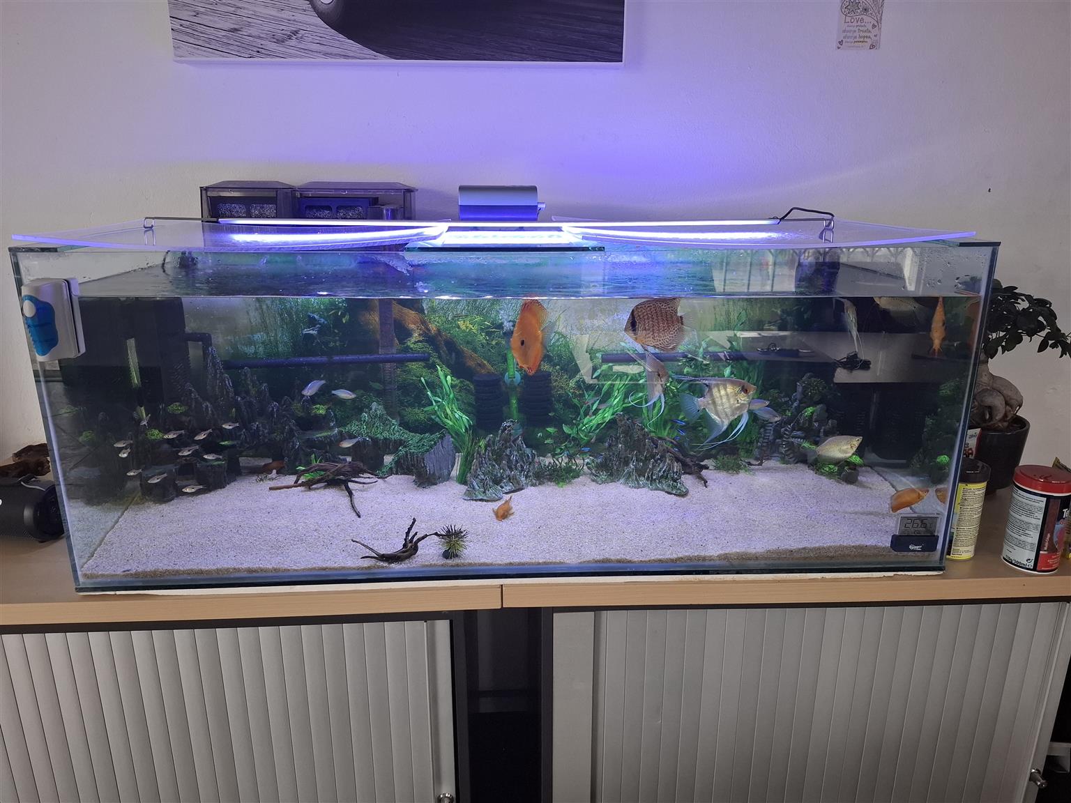 4 foot fish tank | Junk Mail Marketplace