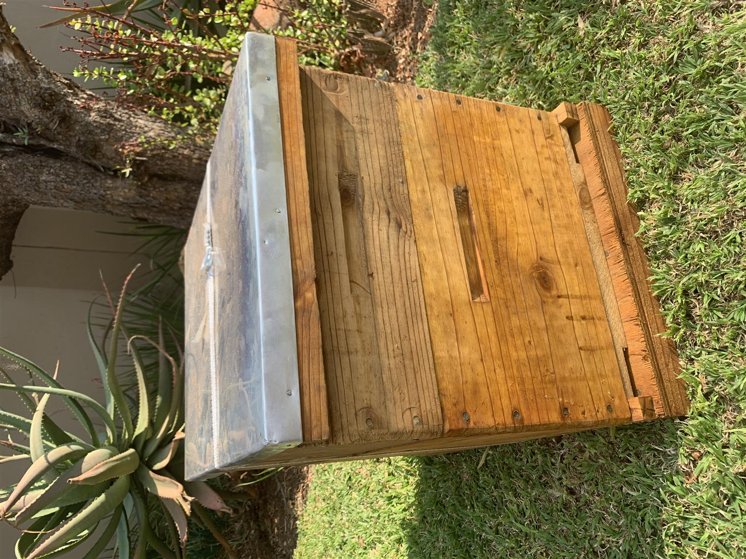 10 frame Langstroth beehive