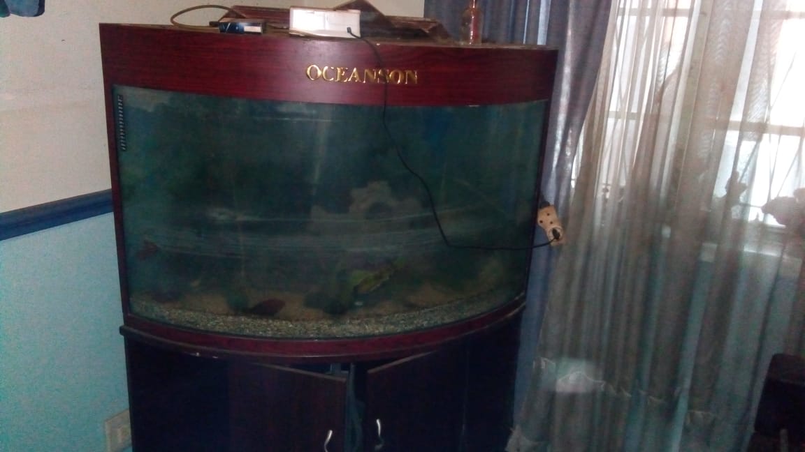 300 litre fish tank