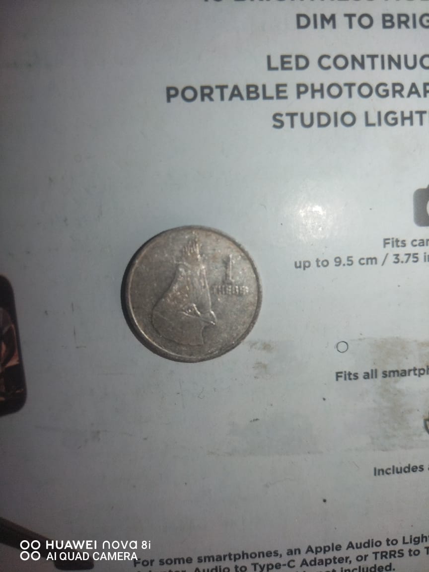 Old African coins