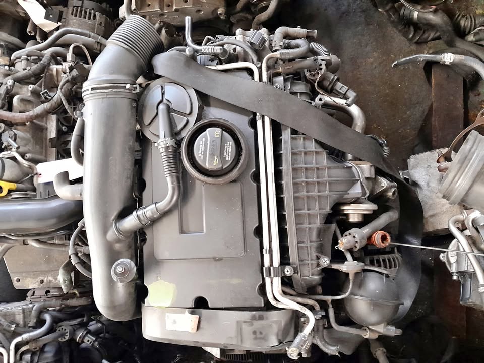 GOLF 5 2.0 TDI AUDI A3 A4 2.0TDI BKD ENGINES IMPORT FOR SALE - Private Seller