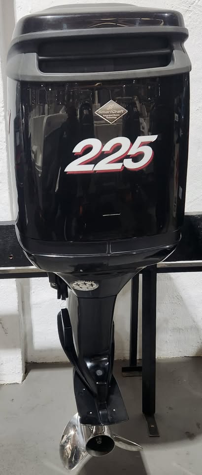 2010 OUTBOARD MOTORS 2 AND 4 STROKES