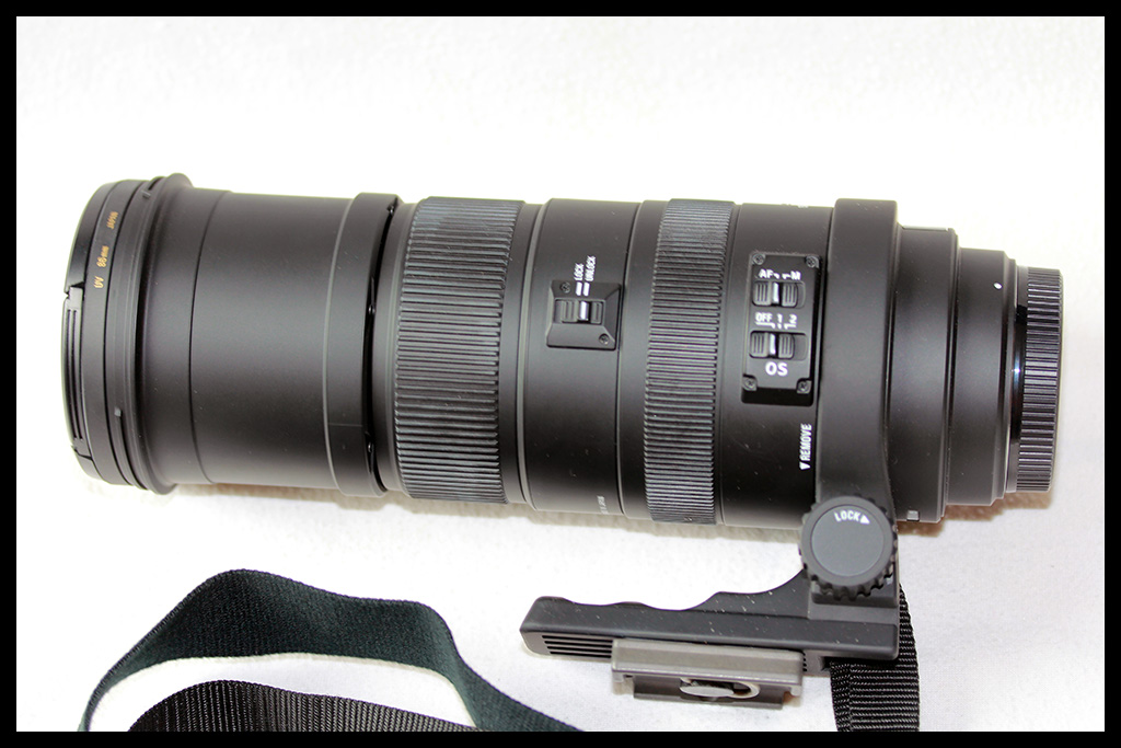 Sigma DG 150-500mm f/5-6.3 APO OS HSM (Nikon)