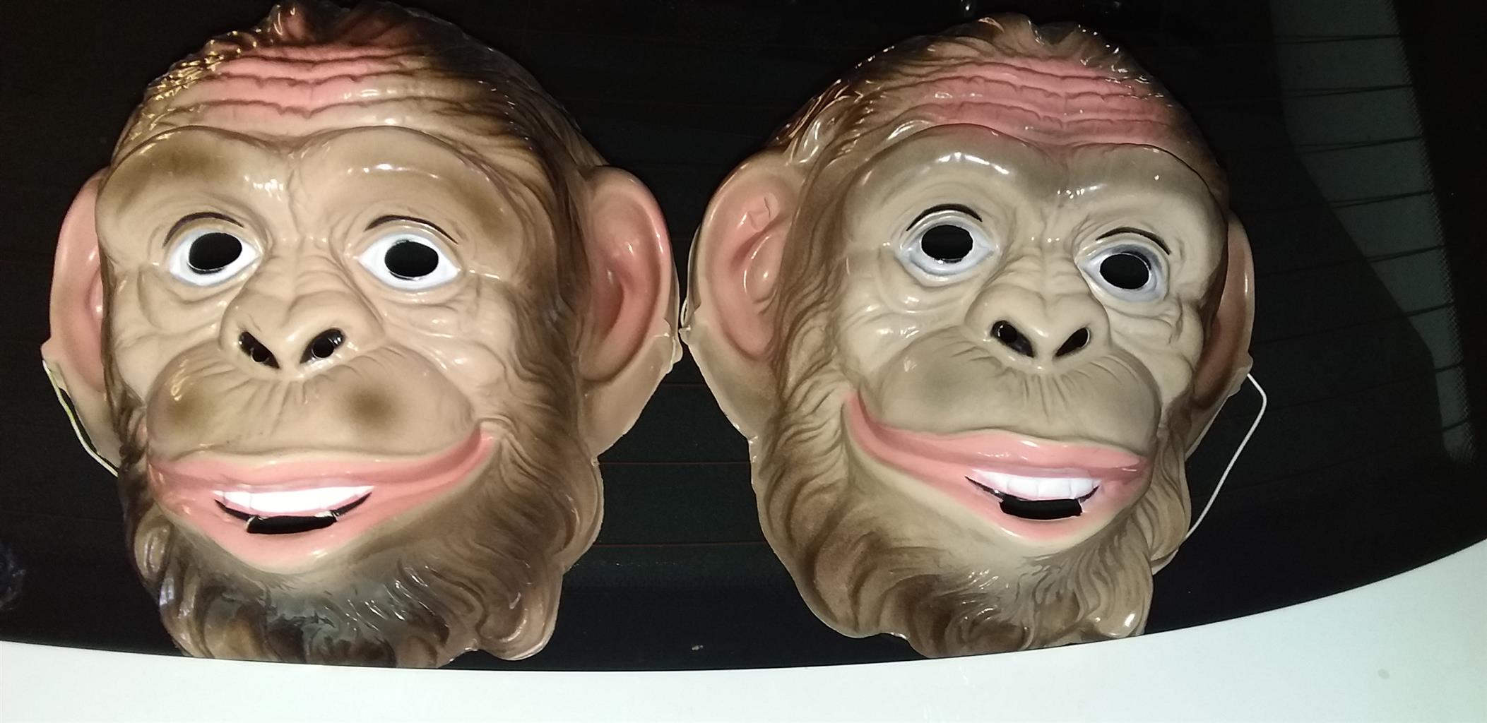 Plastic Animal masks for parties - Good Condition | Junk Mail