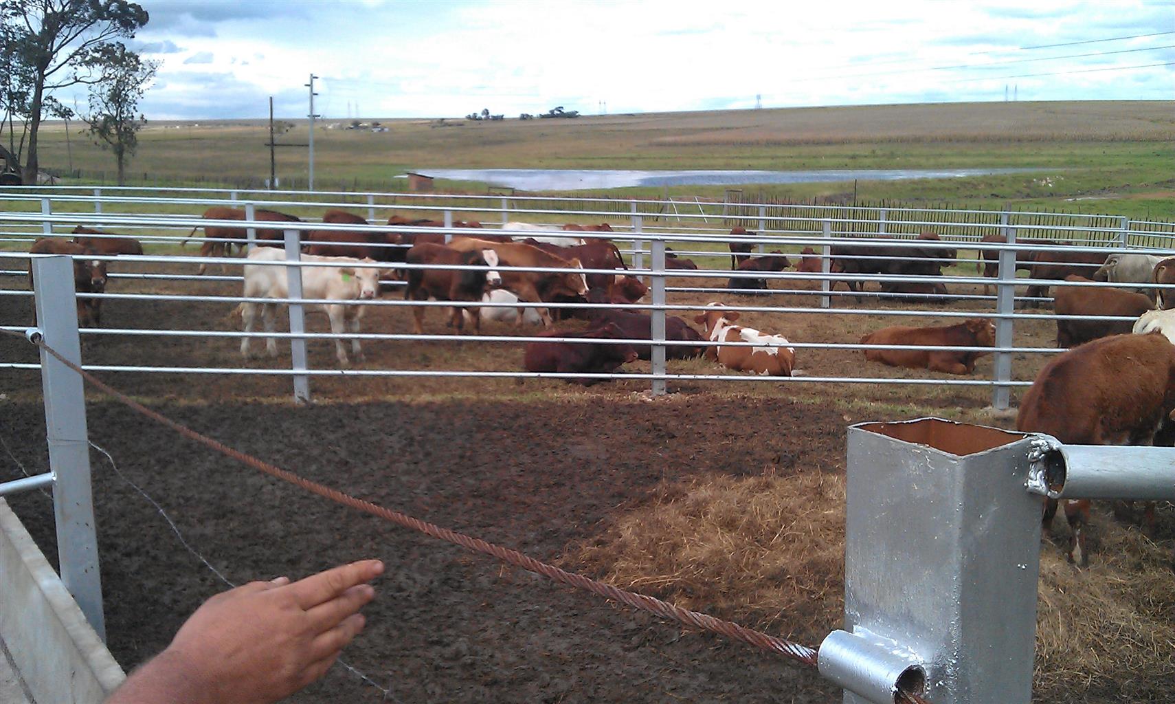 Green2Gro Fresh Animal Feed Units Fresh Fodder Green Feed | Junk Mail