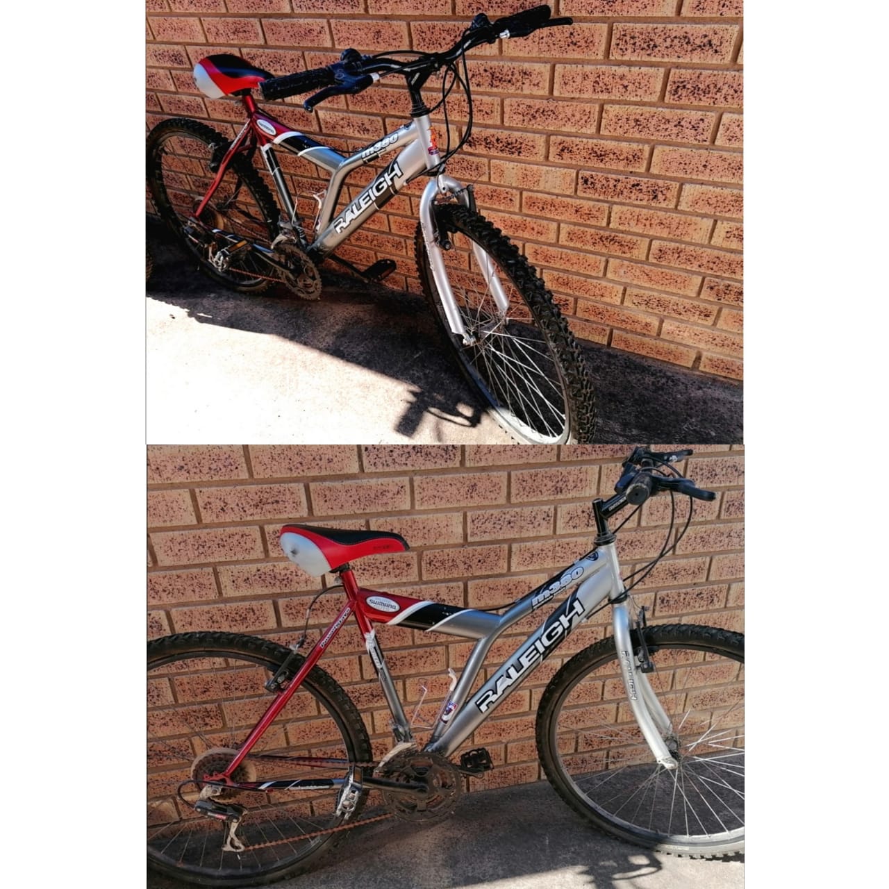 sport bicycle for sale