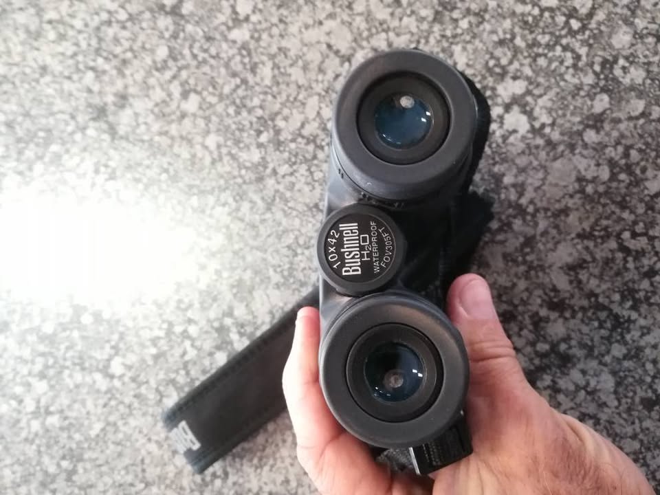 Bushnell 10x42 H2O Waterproof Binoculars
