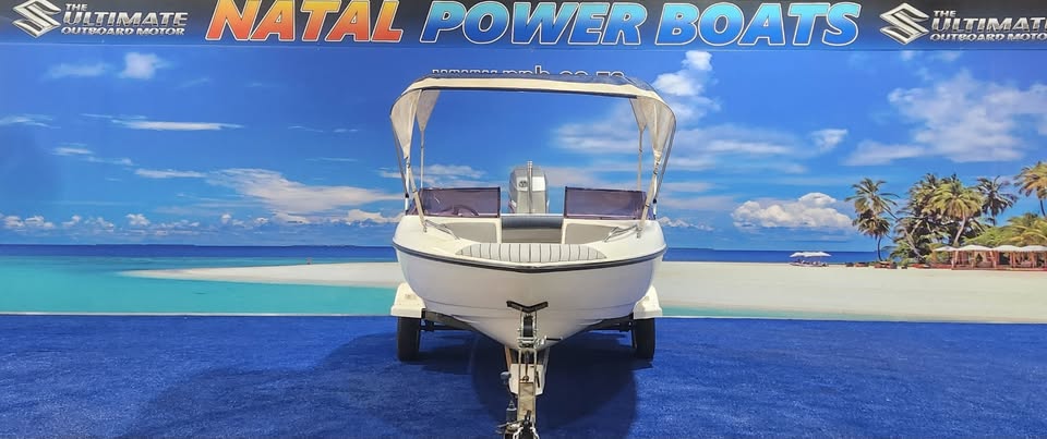2006 VIKING VELOCITY 16 FT BOWRIDER