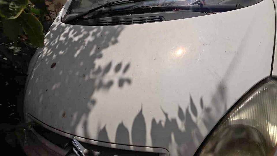 Citroen Xsara Picasso bonnet
