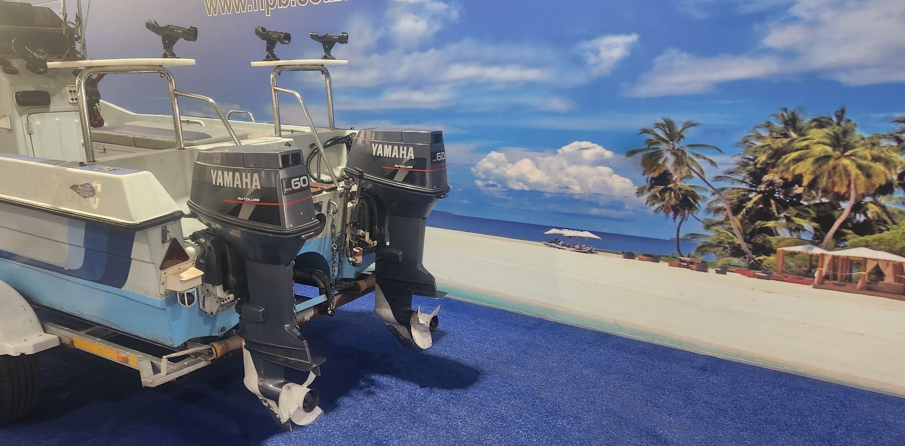 T CAT 16,6 CC ON TRAILER 2 X 60 HP YAMAHA