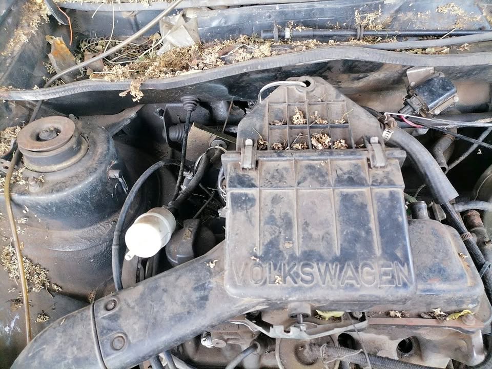 VOLKSWAGEN GOLF 1 CARBURETOR COVER - Private Seller VOLKSWAGEN GOLF 1 CARBURETOR COVER - Private Seller