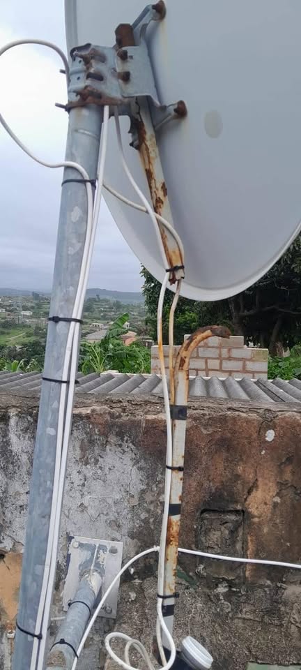 signal ,dish elbows and more