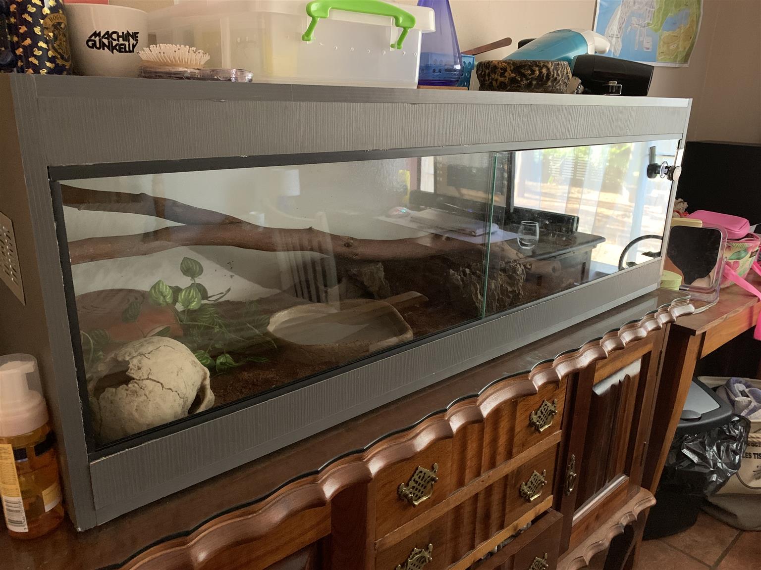 Reptile Cage for sale Junk Mail