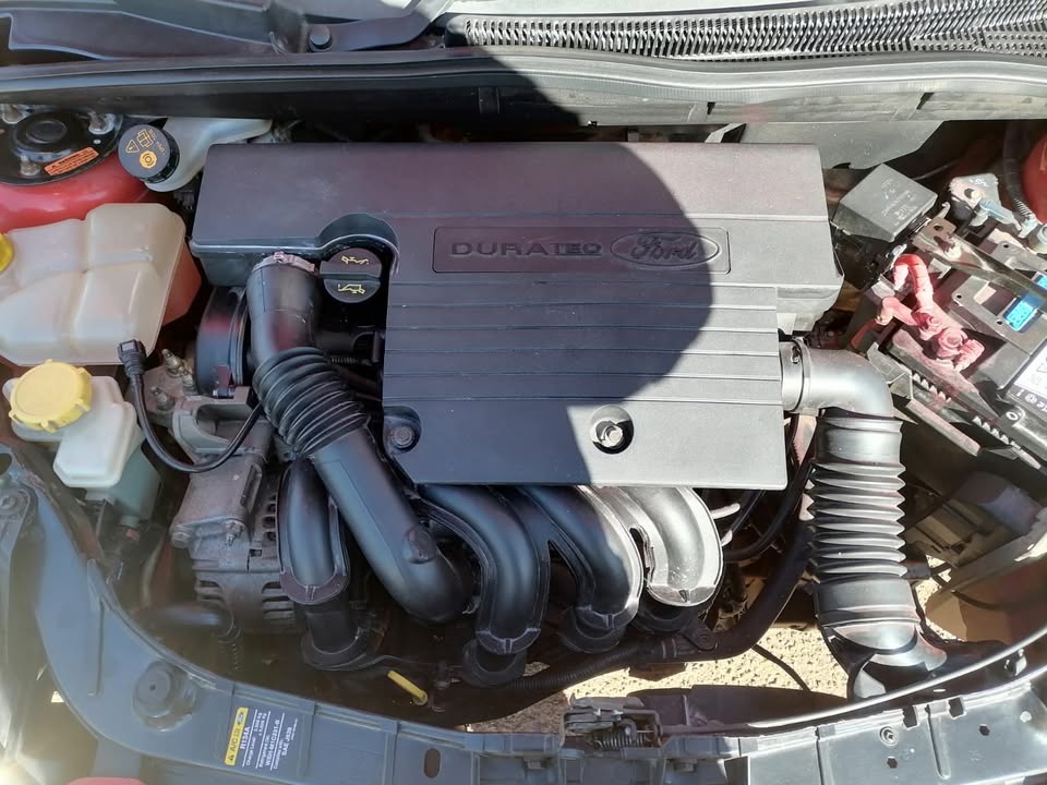 2013 Ford figo