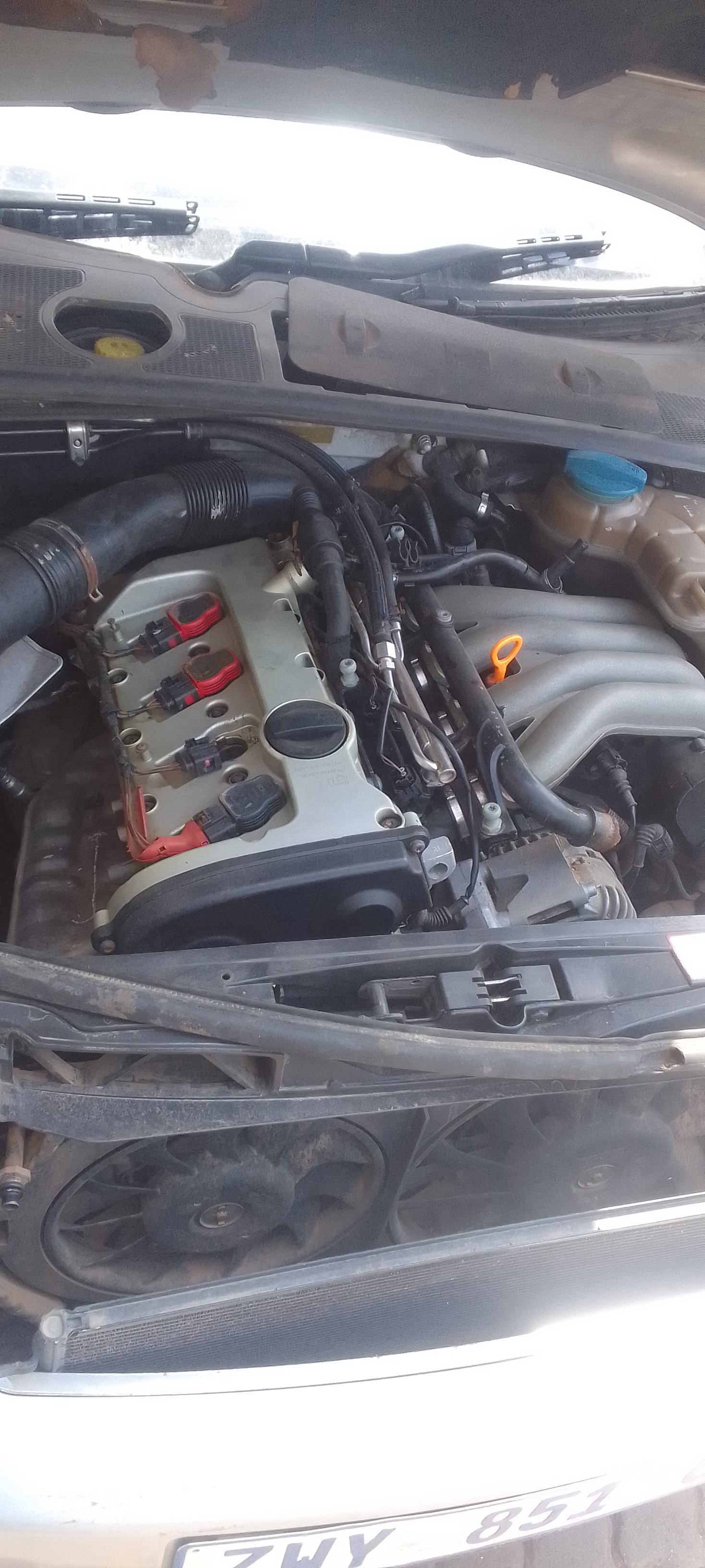 Audi A4 B6B7 2L non Turbo ALT Engine for SALE - Private Seller Audi A4 B6B7 2L non Turbo ALT Engine for SALE - Private Seller