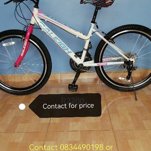 Raleigh outlet alpine 2.2