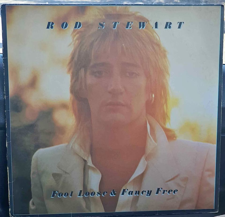 Rod Stewart vinyl lps x2 Rod Stewart vinyl lps x2