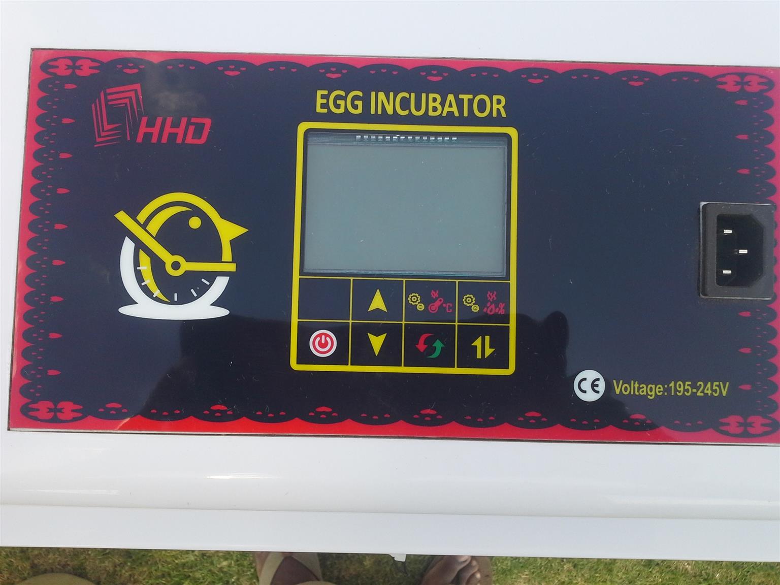 incubator 360 egg chicken