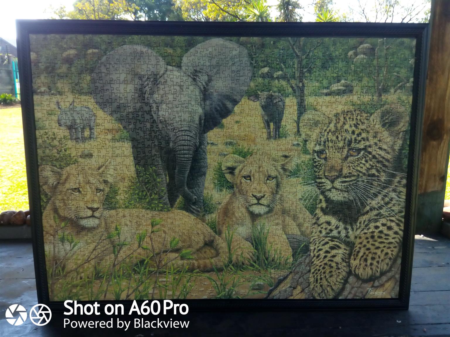 Urgent sale  wildlife puzzles framed 