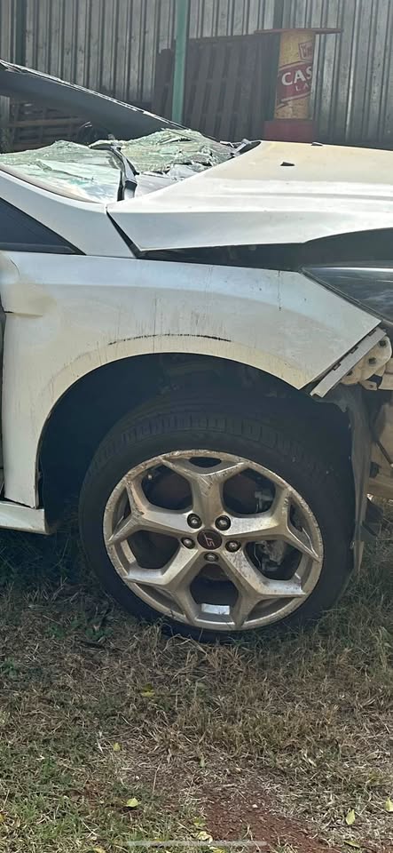 Ford ST 2.0 for stripping