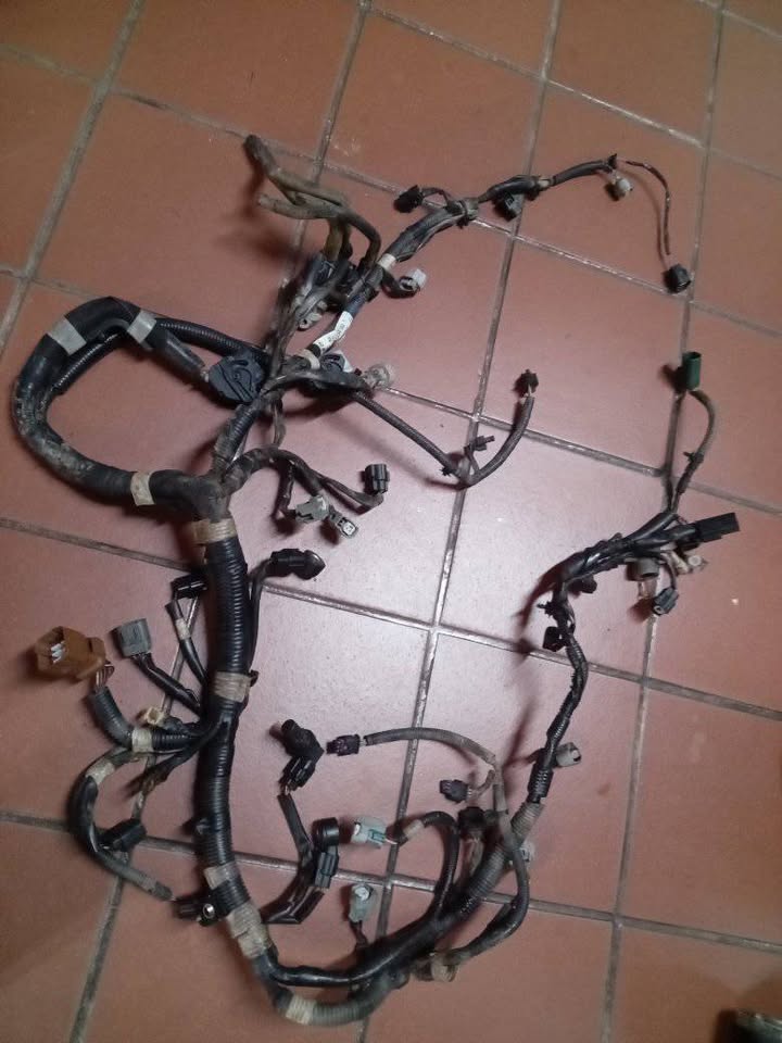Subaru Forester Injectors Loom Subaru Forester Injectors Loom