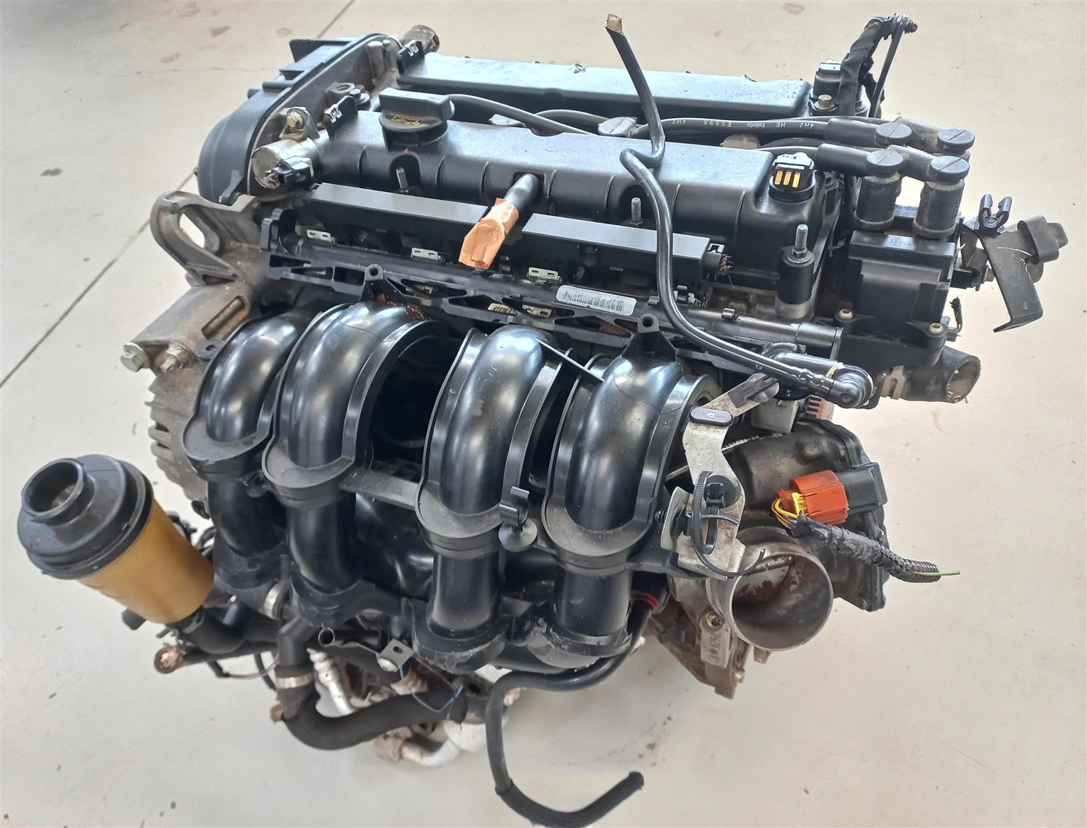 Ford Focus 1.6 Petrol Engine (HXDA) - Private Seller Ford Focus 1.6 Petrol Engine (HXDA) - Private Seller