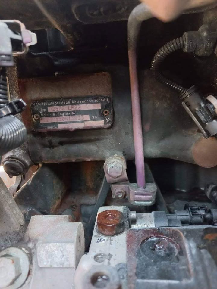Man truck and bus engines sale
