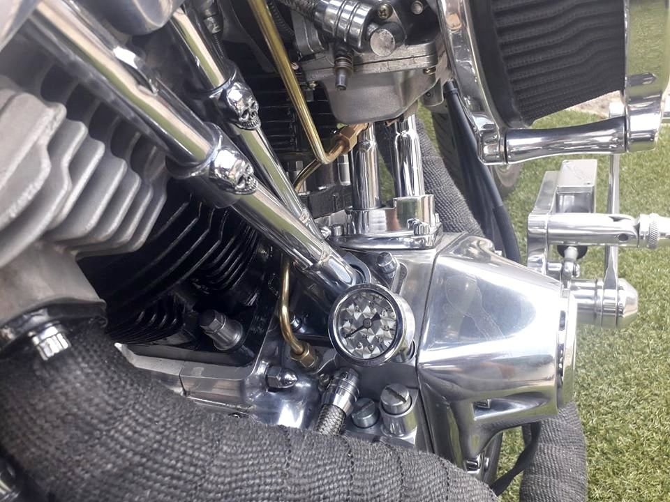 Used 2020 Harley Davidson Shovel Head - Private Seller Used 2020 Harley Davidson Shovel Head - Private Seller