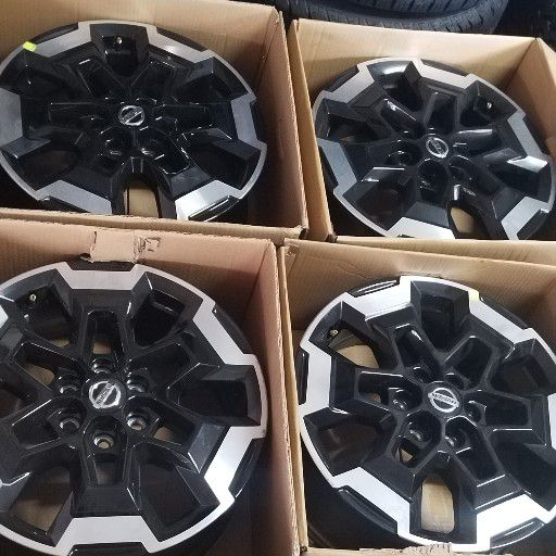 Navarra MAG RIMS