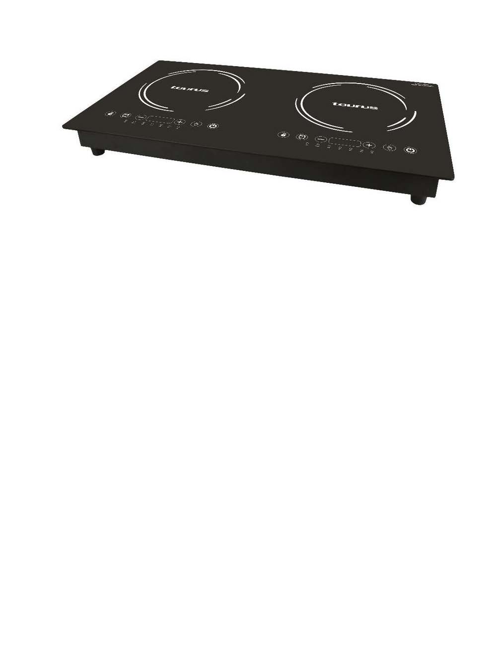 2 plate induction stove makro