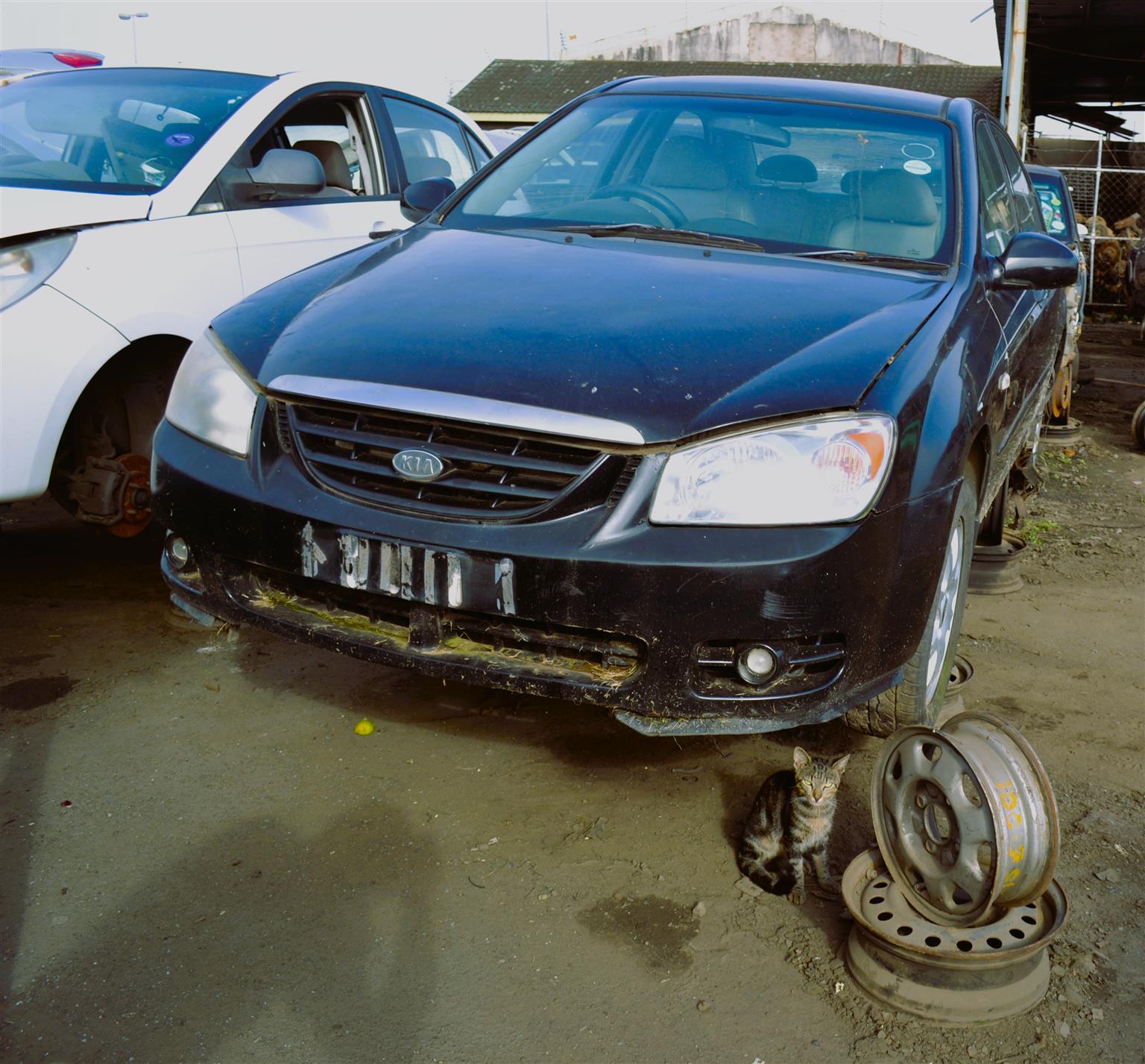 2004 Kia Cerato 2.0D - Stripping for Spares
