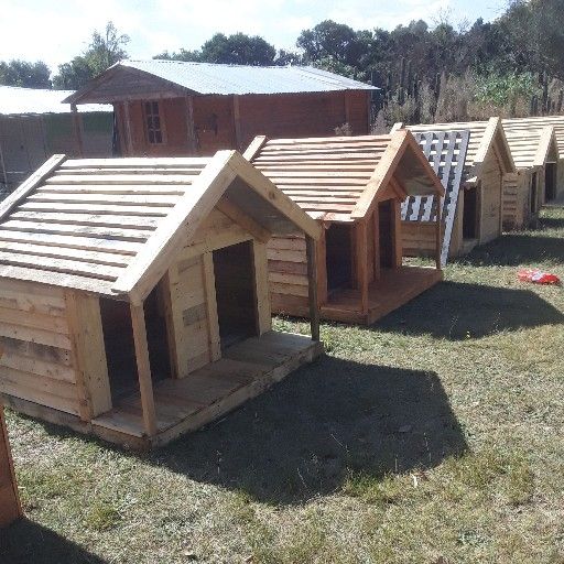 pinewood dog kennels