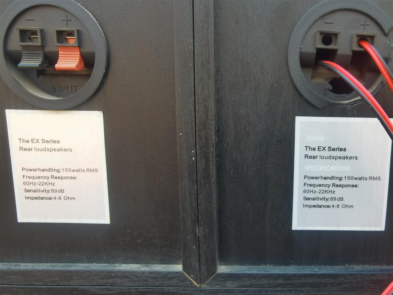 Pioneer The EX Series Surround Speaker's (Read Description)