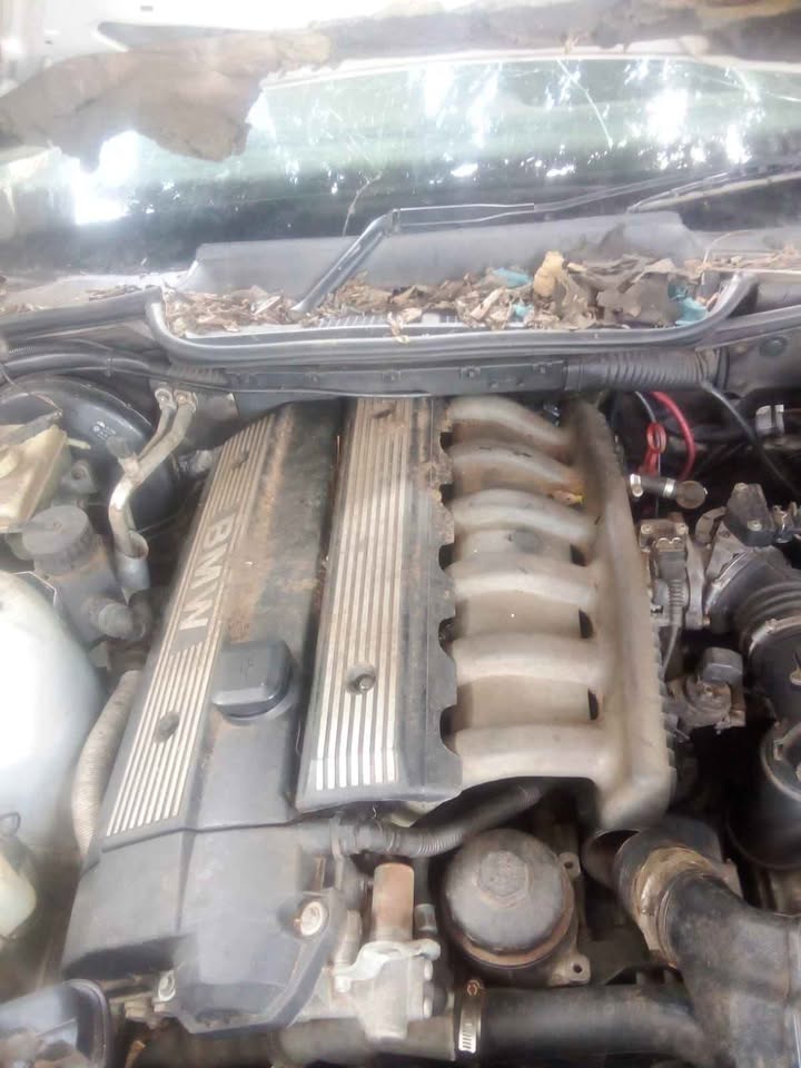 BMW 3 series E36 328i convertible striping for parts/spares - Private Seller BMW 3 series E36 328i convertible striping for parts/spares - Private Seller