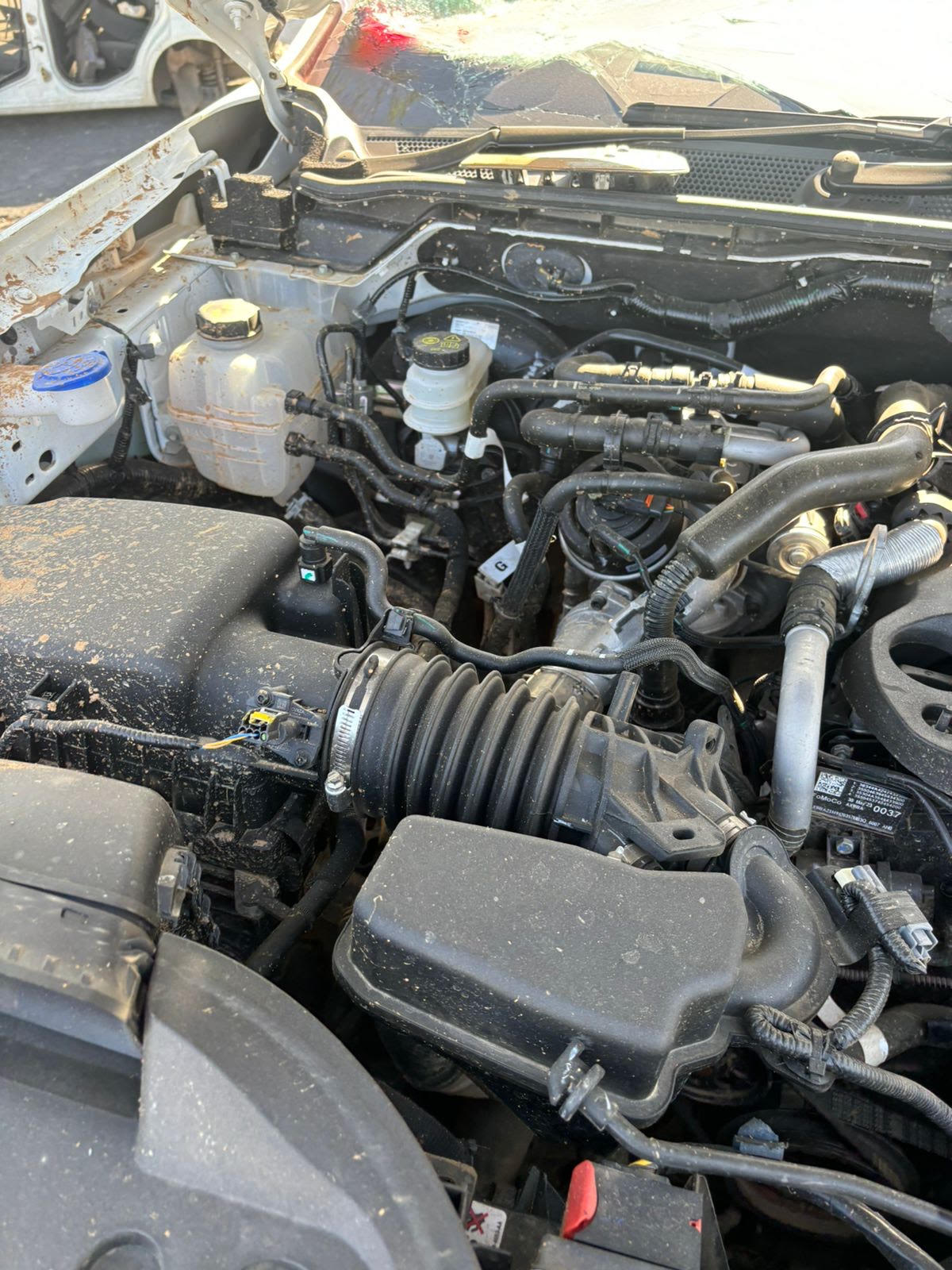 2024 Ford Ranger 2.0 bi-turbo Next Gen 2x4 XLT Spares - Private Seller 2024 Ford Ranger 2.0 bi-turbo Next Gen 2x4 XLT Spares - Private Seller