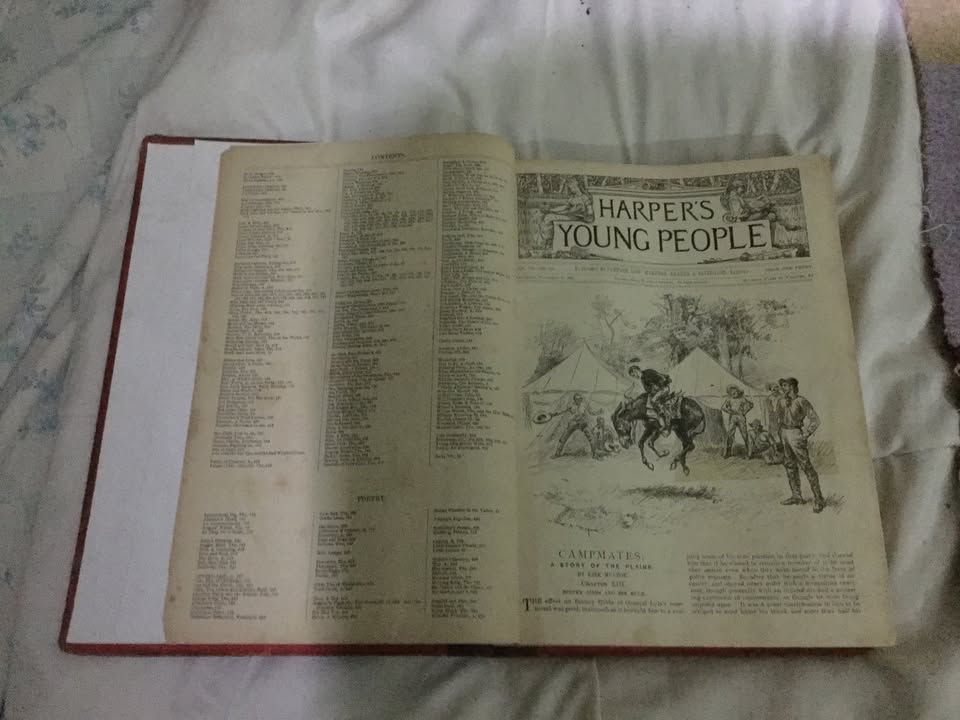 Harper’s Young People 1891